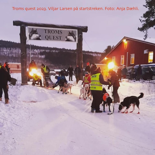 Troms-quest-2023.-Viljar-Larsen-pa-startstreken.-Foto-Anja-Daehli.