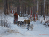 Troms Quest 2023