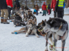Troms Quest 2023